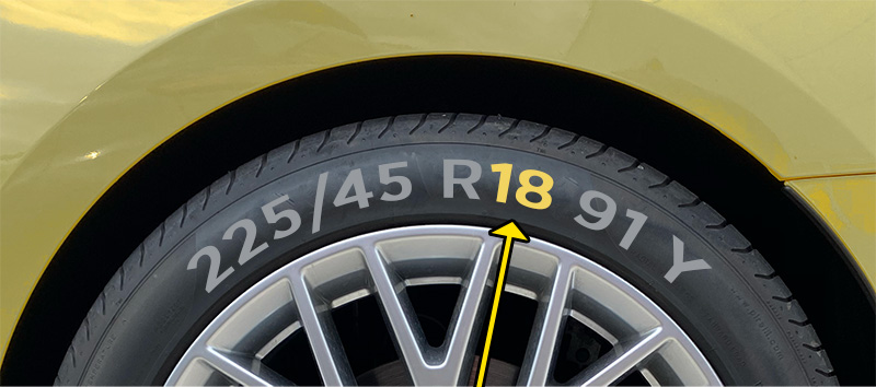 F e6lg