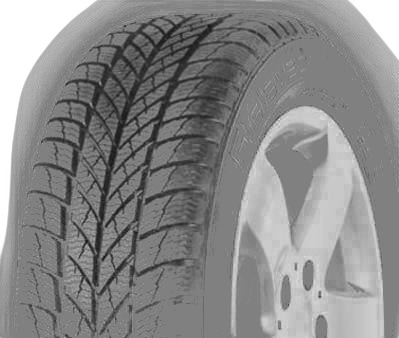 Gislaved Euro Frost 5