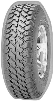 Nexen Roadian MT