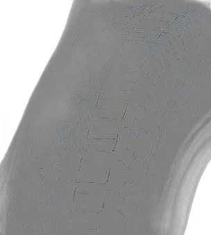 Michelin Agilis Camping