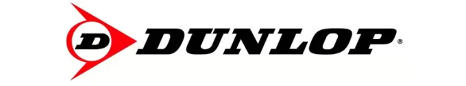 Dunlop SP Winter Sport 3D Van